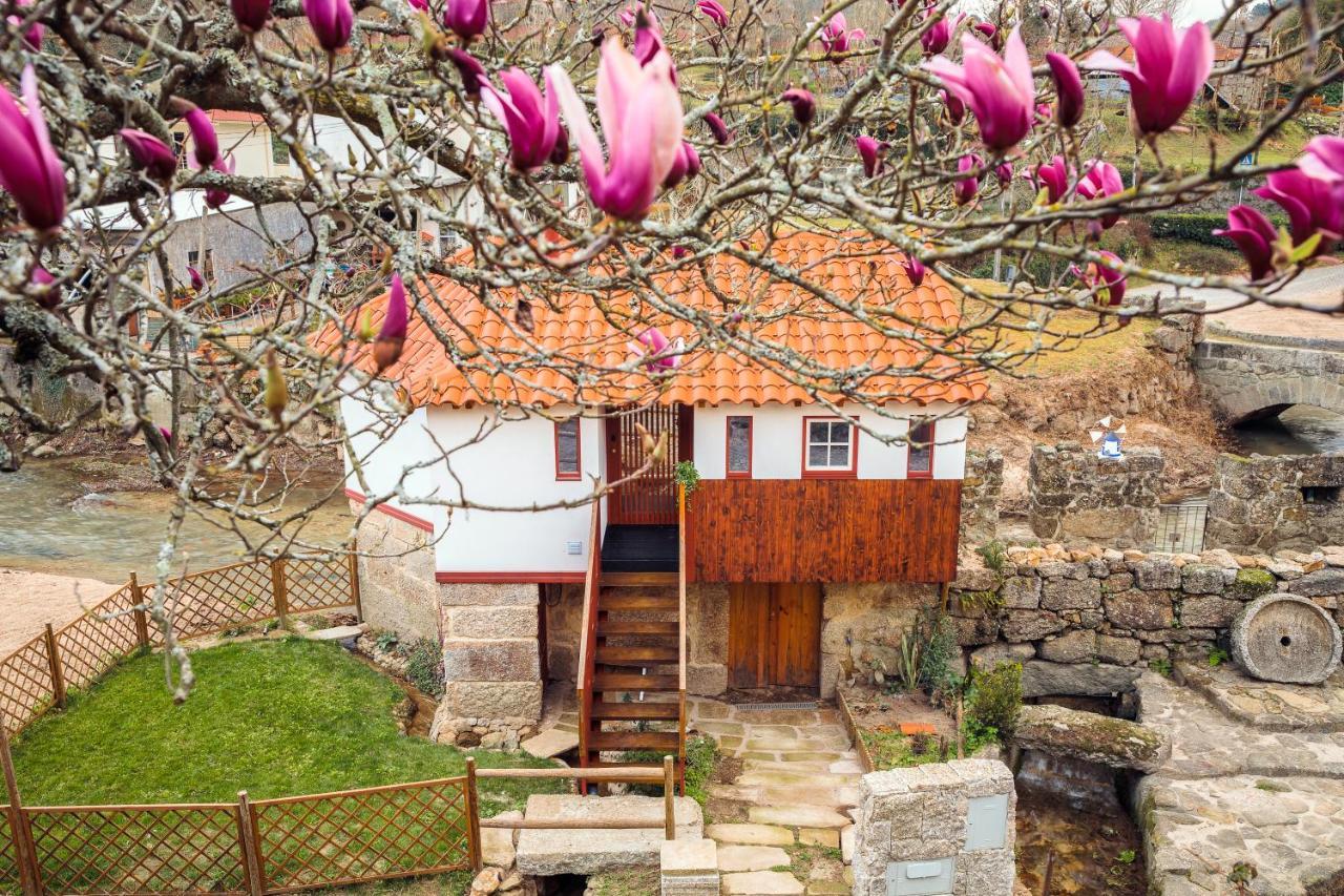 Refugio House Natura Moinho De Agua - Eco House Guimarães Kültér fotó