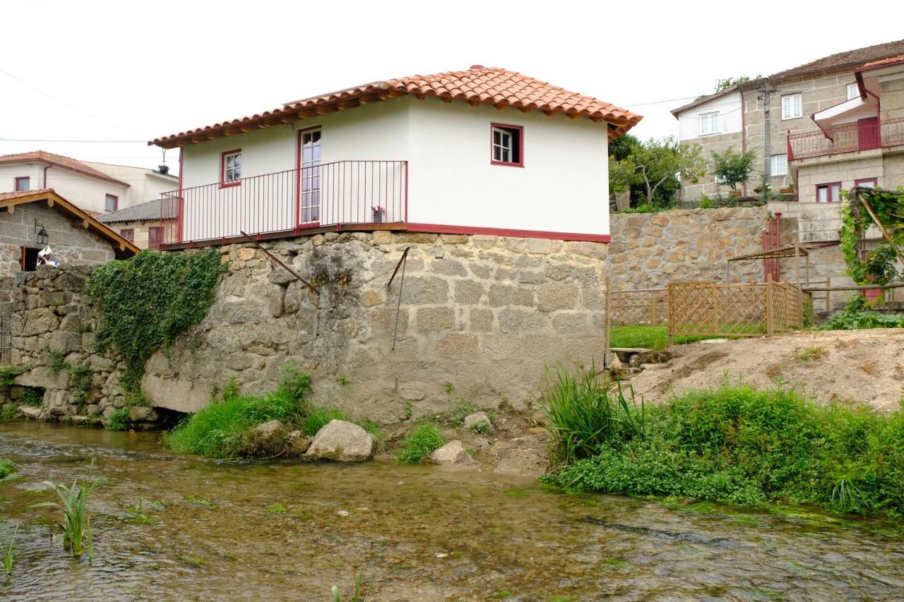Refugio House Natura Moinho De Agua - Eco House Guimarães Kültér fotó