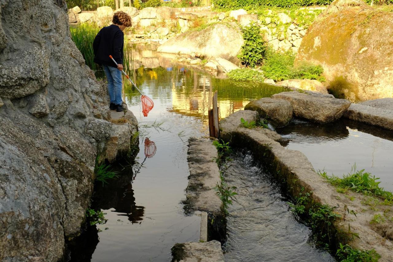 Refugio House Natura Moinho De Agua - Eco House Guimarães Kültér fotó