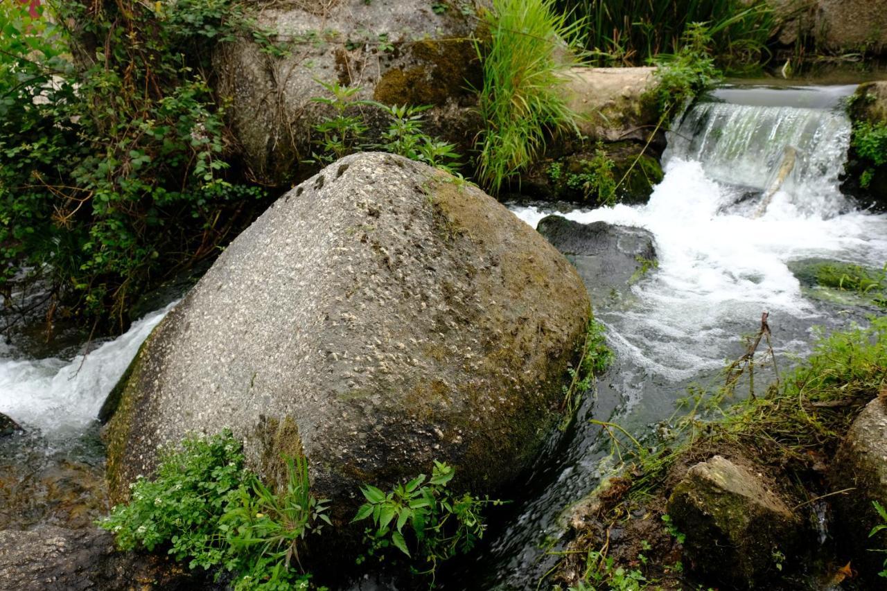 Refugio House Natura Moinho De Agua - Eco House Guimarães Kültér fotó